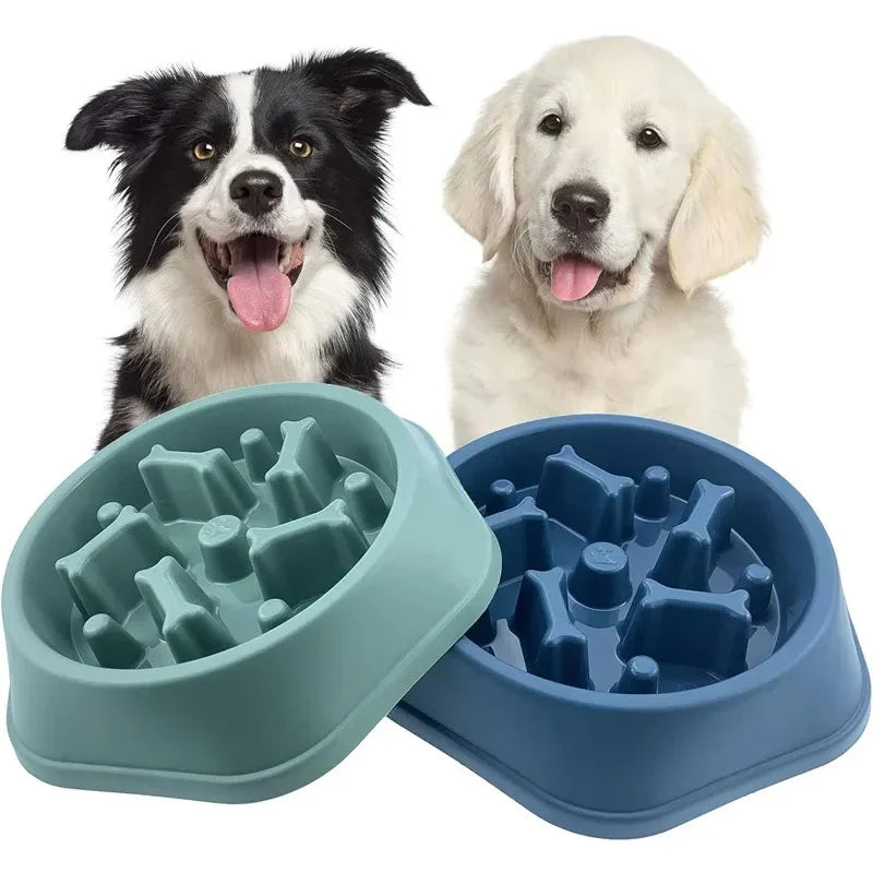 Comedero Lento CozyPaws — Diseño Antivoracidad